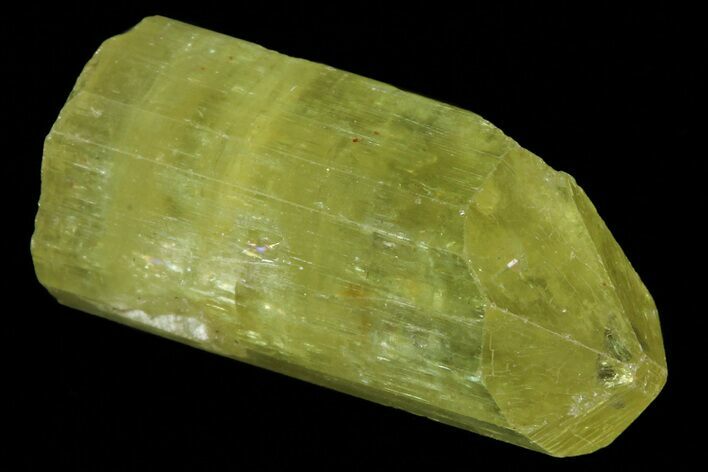 Lustrous Yellow Apatite Crystal - Morocco #82580
